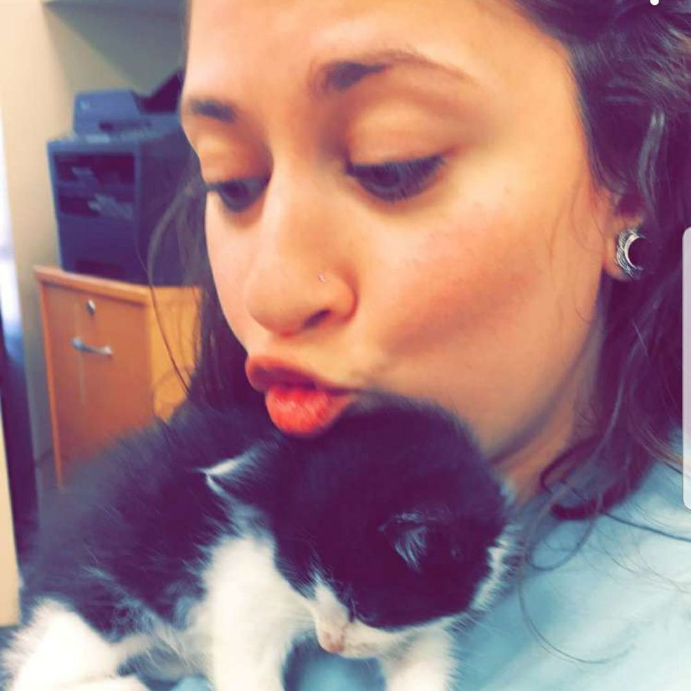 Meet your Posher, Katrina